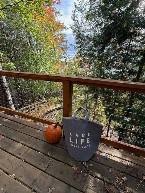 Primary deck view of the lake in the fal.