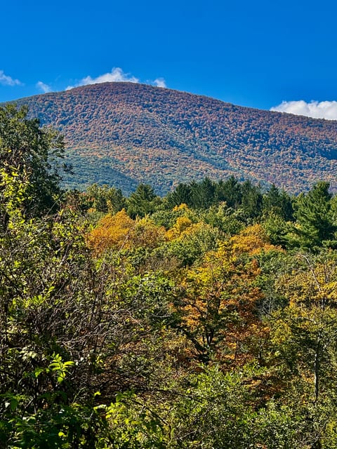 Breathtaking mountain and forest views with vibrant fall color