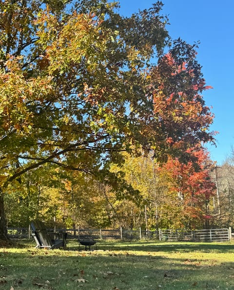 Peaceful backyard with fire pit, Adirondack chairs, and stunning fall foliage