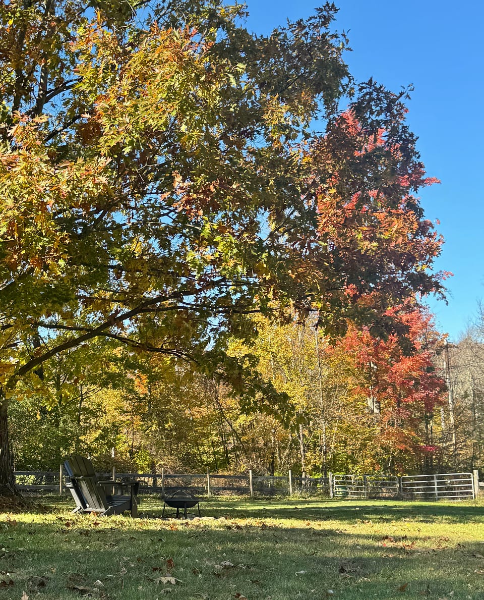 Peaceful backyard with fire pit, Adirondack chairs, and stunning fall foliage