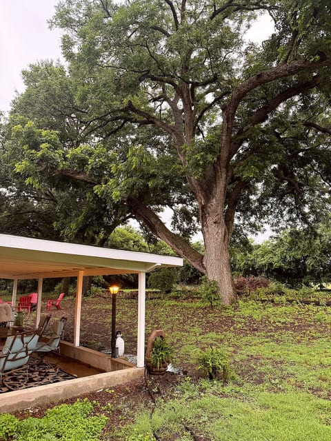 Shady Pecan Farmside image 3
