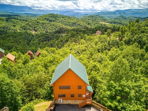Overview of cabin