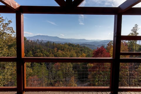 Beautiful fall colors