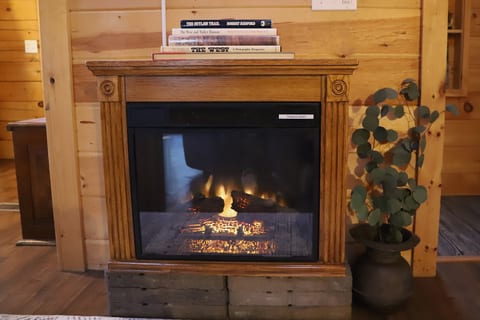 Electric Fireplace