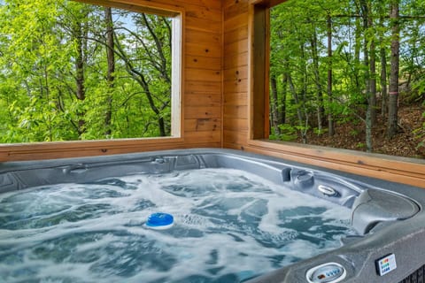 Blue Ridge Cabin | Hot Tub*Pet Friendly*Views