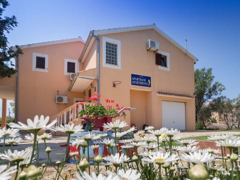 Wohnung Casa Nada 01 - von TA Leut Agency