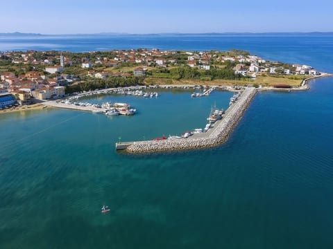 "Delfin prizemlje"