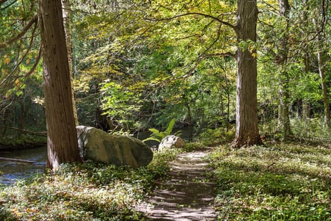 Wooded creekside path at The Hideaway at Deer Creek, a peaceful East Jordan, Michigan vacation rental