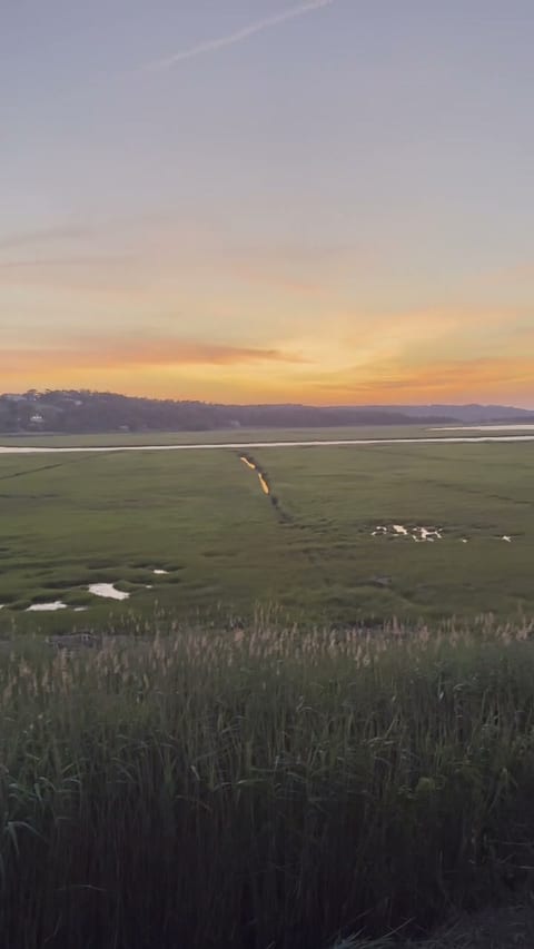 The Egret's Nest