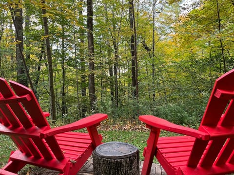 Into the Woods- Berkshire Cabin Retreat! image 4