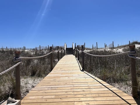 Laughing Pelican - Direct oceanfront. Amazing views! Huge decks, hot tub!