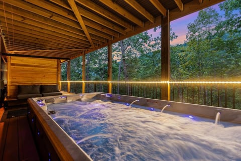 8BR | SwimSpa | Theater | Speakeasy | OMG Views image 3