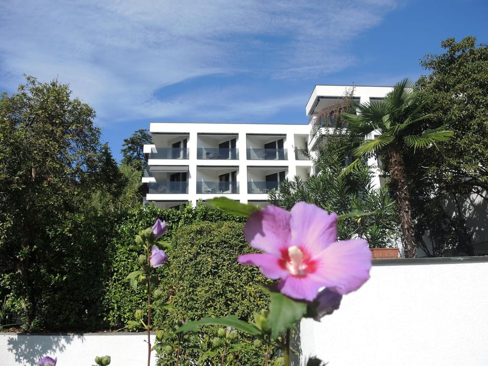 Fiore Rosa - Ascona