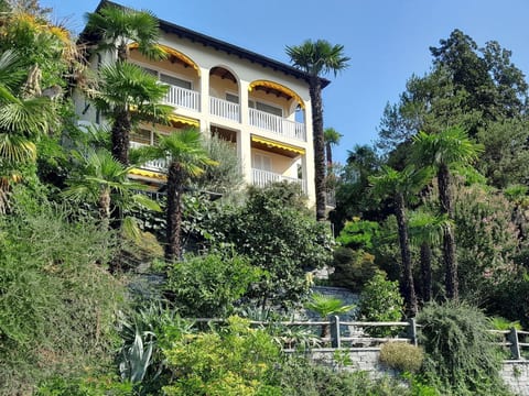 Villa Dora Attika