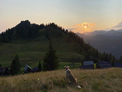 View