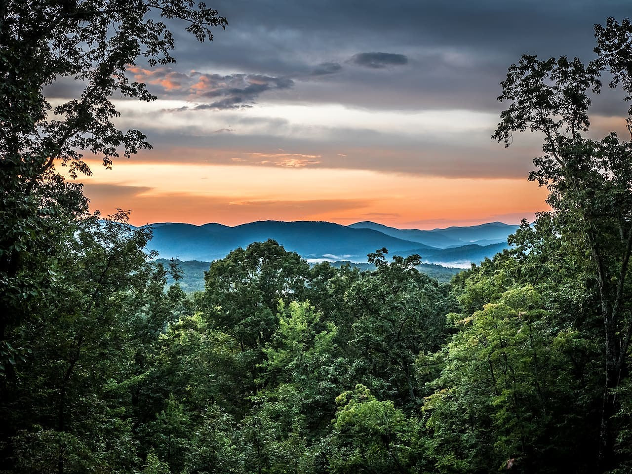 Huckleberry Cabin | 2 King rooms + 1 Q | Mtn Views
