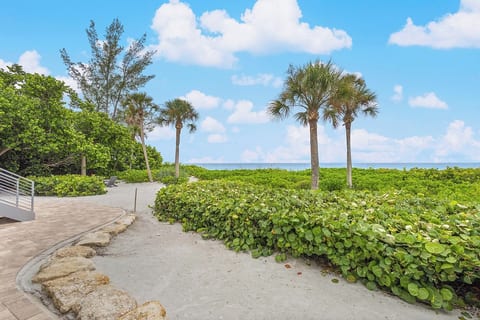 Beach Access
