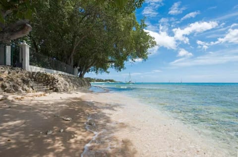 Heronetta - Sandy Lane Beach