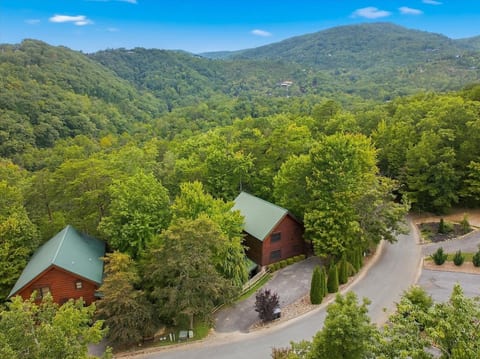 Luxury Cabin: Sleeps 12, hot tub, game room & more