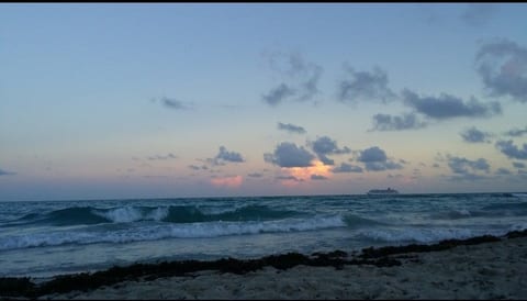 Beachside Haven image 5