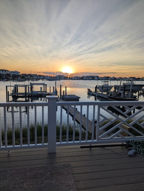 Tiki hut on the Sound - private Dock
