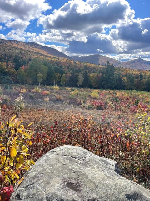 Vibrant fall foliage as seen from the nearby Blueberry Management Area.