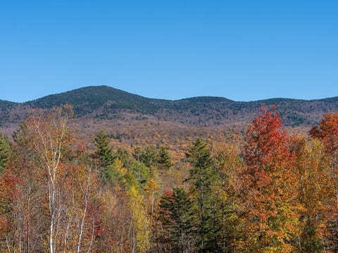 Modern Vermont Cabin with Panoramic Mountain Views image 35