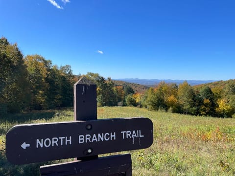 Stunning vista of the Adirondack mountains from the Voters Brook Overlook, off the North Branch Trail near Mount Moosalamoo.