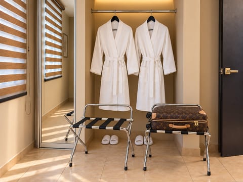 Hotel-style closet with robes, mirror, and luggage racks