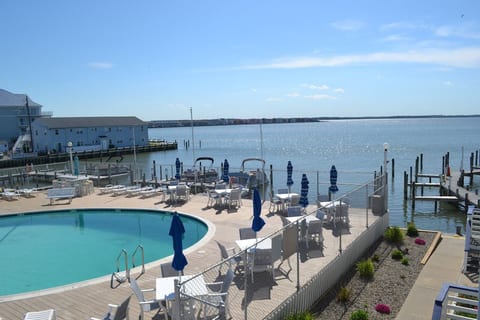 Bayfront Sunsets, Renovated Coastal Retreat image 2