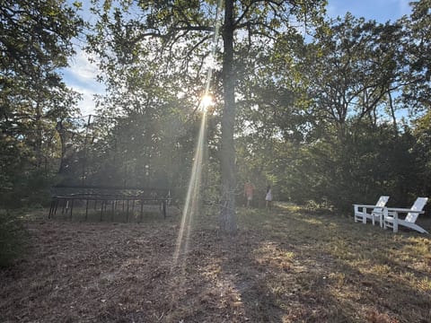 Tiny Nordic Home in the Texas Countryside