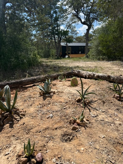 Tiny Nordic Home in the Texas Countryside