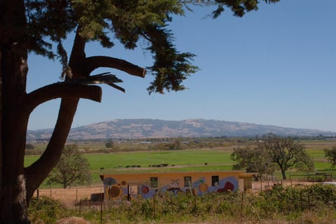 New Carpati Farm Stay Teal Room