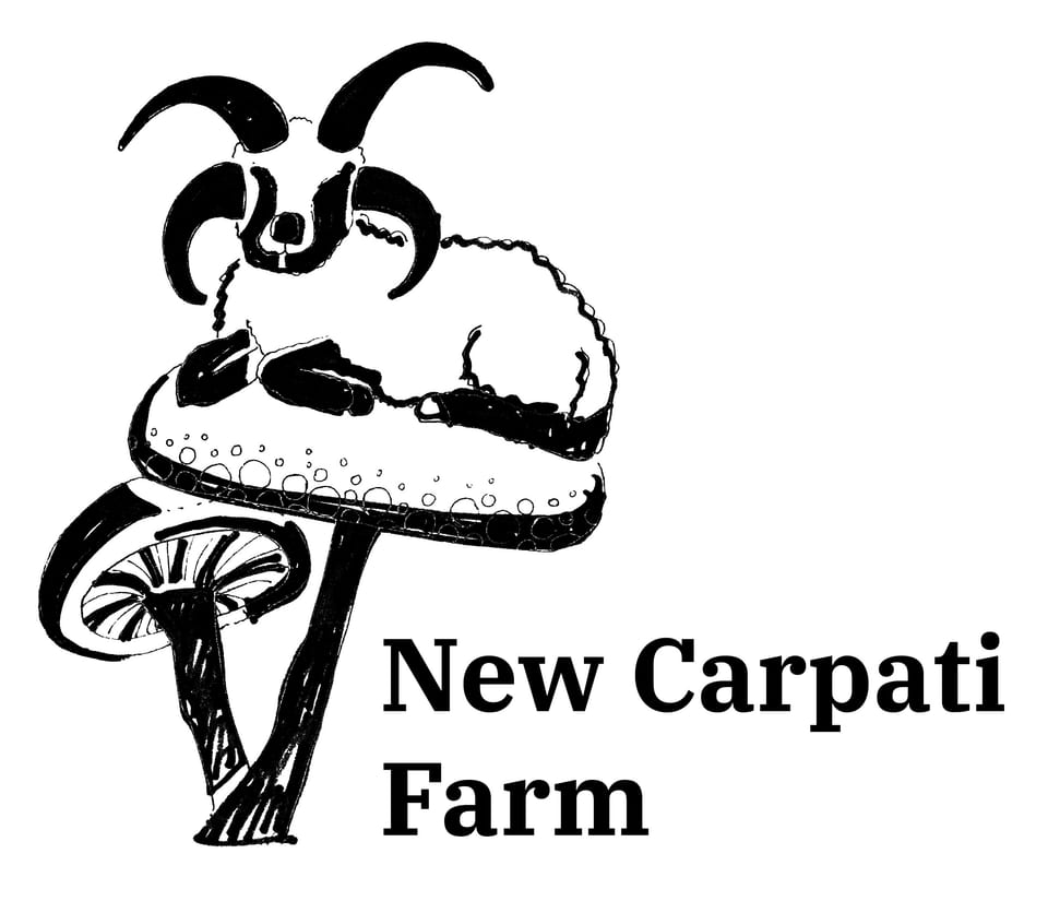 New Carpati Farm Stay Teal Room - Sebastopol