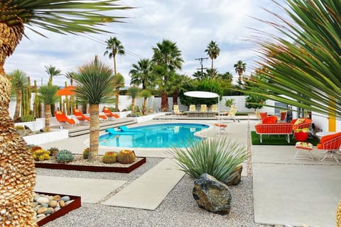 Incredibe pool, beautifully landscaped, native cactus planted throughout.