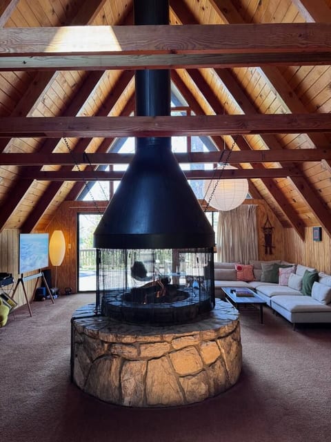 Rare Carousel fireplace. Uses gas with ceramic logs so instant on and no need to stack wood or worry about fire going out.