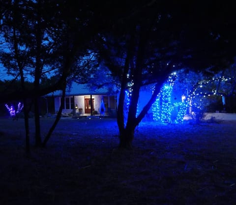 outdoor holiday lights