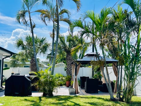 Tropical Oasis On the Gulf Coast