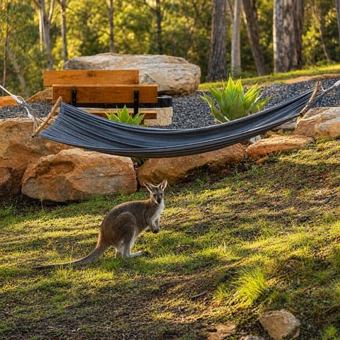 Willow Cabin | Fireplace • Fire Pit • 104Acres • Near Mudgee