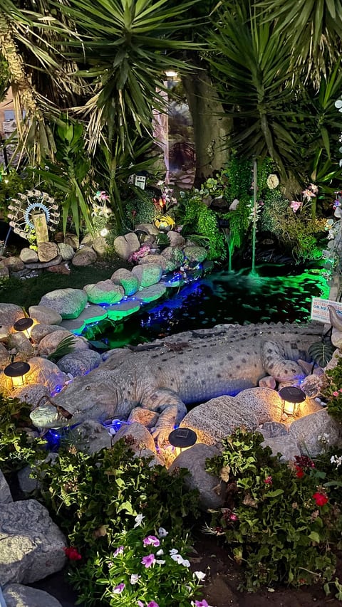 The Koi Ponds Retreat has many areas and scenes to explore and take photos, it’s an attraction all its own, an explorers dream, and staycationers ideal way to relax while enjoying beautiful surrounding landscapes.