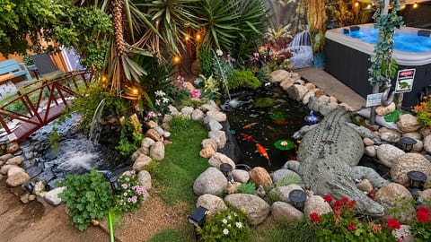 This is a unique, once in a lifetime, experiences with tandem koi ponds & a new Baby Koi Pond that you & your guests will not forget!  We are happy to share this experience with you & hope you’ll return again soon to see what’s new next time!