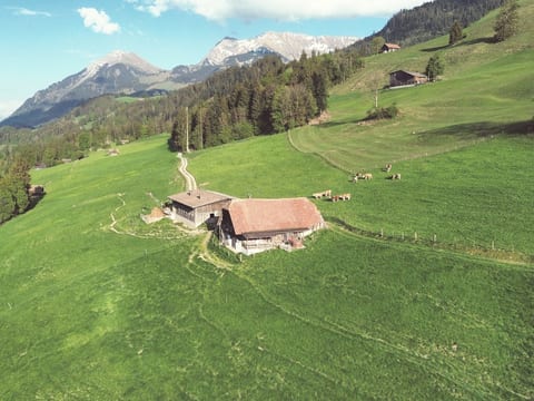 Aerial photography