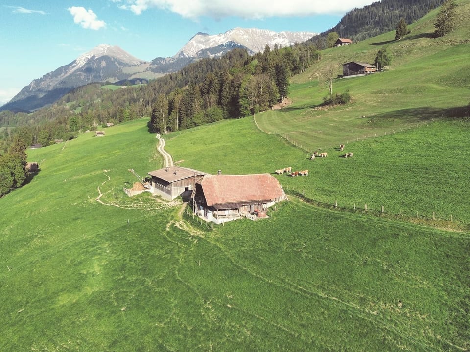 Aerial photography
