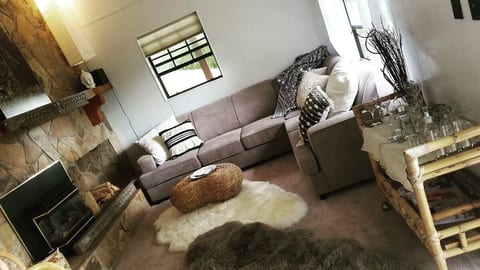Cozy gas fireplace with spacious pull out couch, plush throws and pillows, sheepskin rugs, bar cart and views of Rabun Bald from the window.
