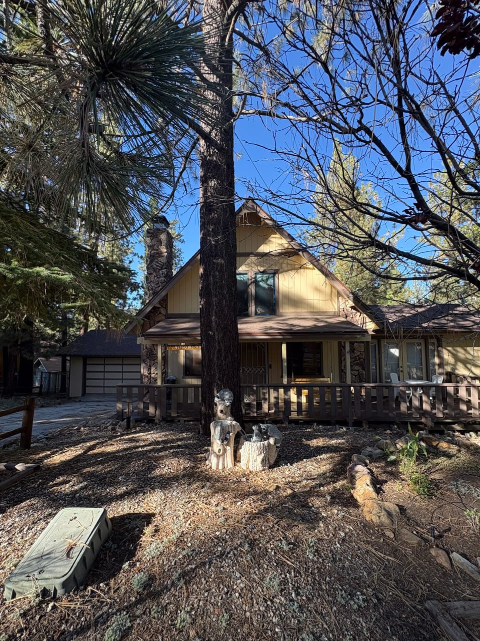 Pine Place - Big Bear Lake