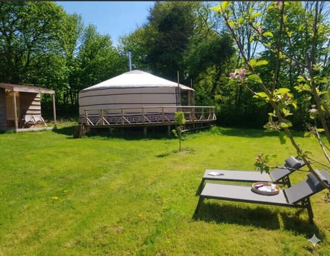 Serene Yurt Retreat in Nature