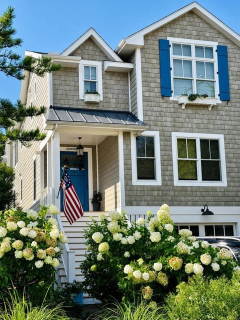 Hydrangeas in full summer bloom