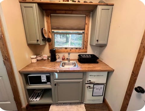 Cozy rustic kitchenette with woodland views and vintage-style fridge