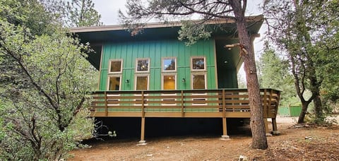 "Bearly Connected", a brand new cabin in the woods