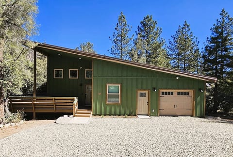"Bearly Connected", a brand new cabin in the woods